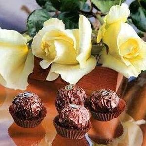 Meet your Posher, Zahed lotf